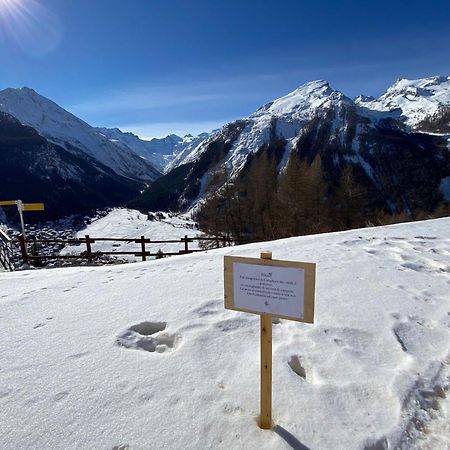 Hotel Belvedere Cogne Kültér fotó