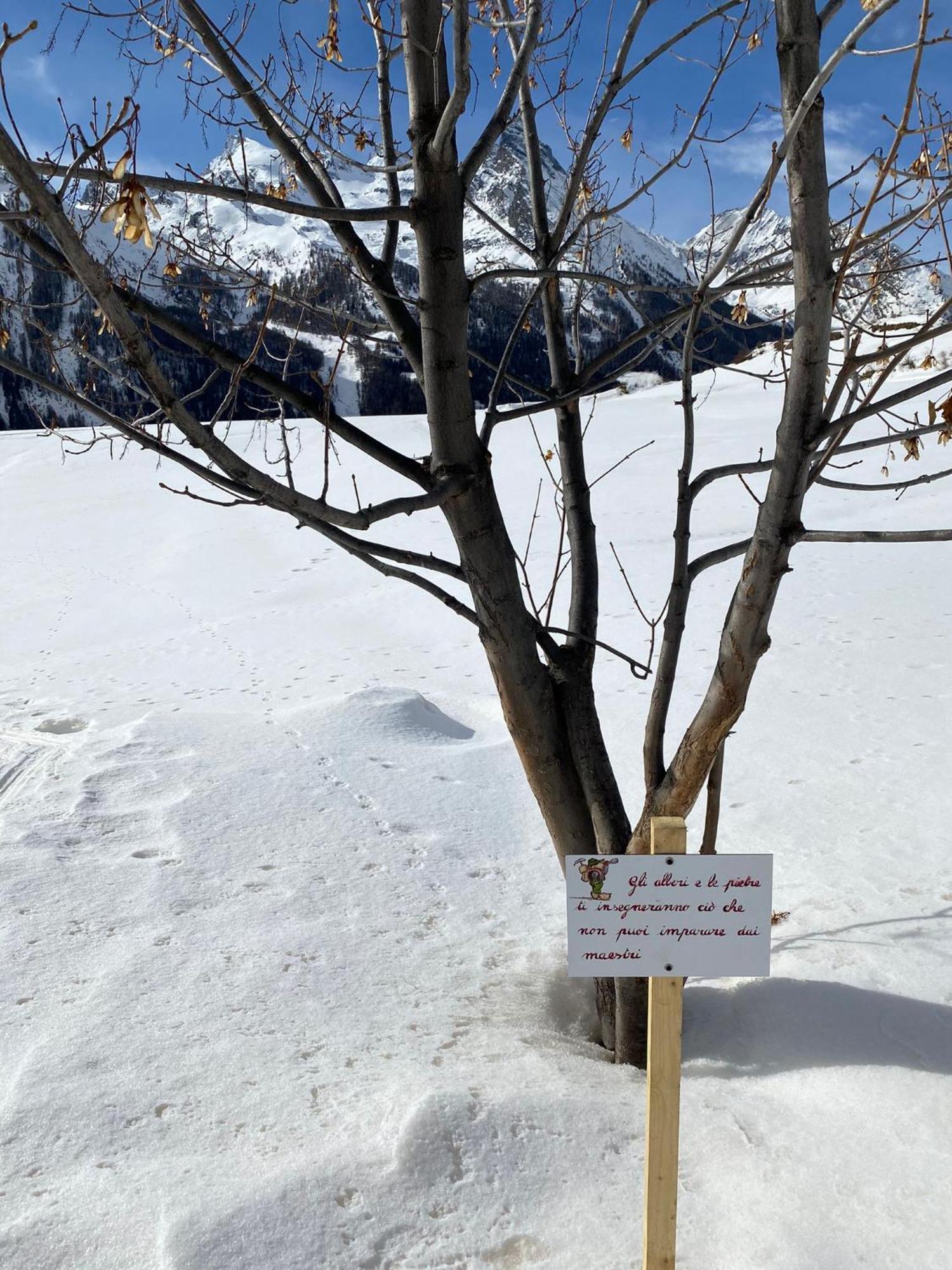Hotel Belvedere Cogne Kültér fotó
